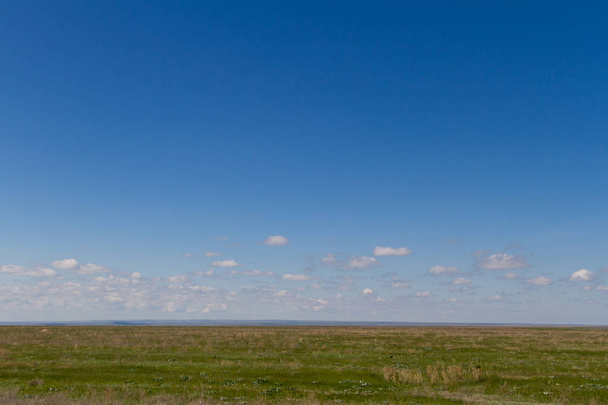 Уровень зеленой степи в Казахстане вблизи города Алматы
 - Фото, изображение
