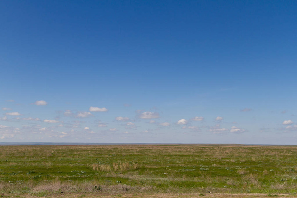 Зеленая степь в Казахстане вблизи города Алматы
 - Фото, изображение