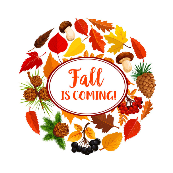 Olá outono cartaz de folhas caídas e cogumelo
 - Vetor, Imagem