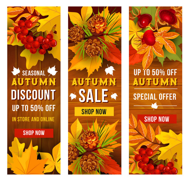 Autumn sale and discount price banner template set - Vector, Image