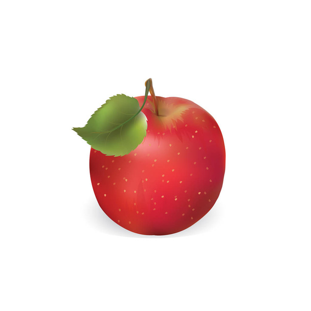 Apfel ist isoliert auf weißem Hintergrund.  - Vektor, Bild