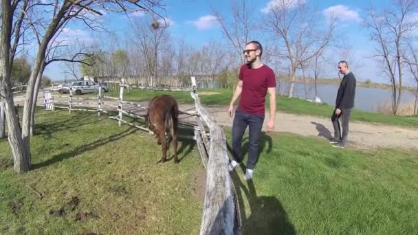 2 in 1,Men and donkey,frendship and cuddling - Footage, Video