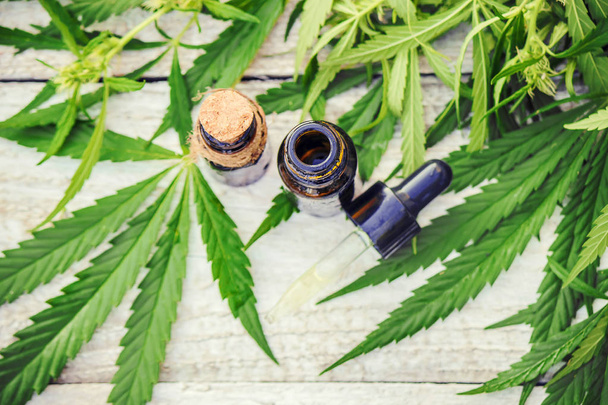 Erbe e foglie di cannabis per il trattamento (brodo, tintura, estratto, olio). Focus selettivo
. - Foto, immagini