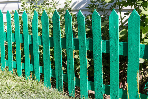Zelený dekorační plot od rošty na webu - Fotografie, Obrázek