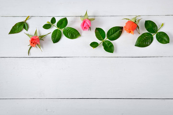 Roses on white wooden background. - Foto, Bild