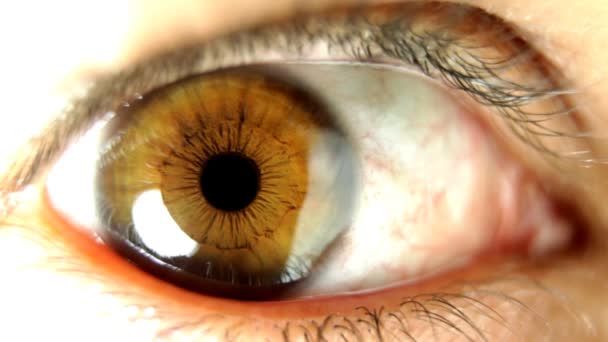 Marco zár-megjelöl szemcsésedik-ból zöld szeme nézett körül - Felvétel, videó