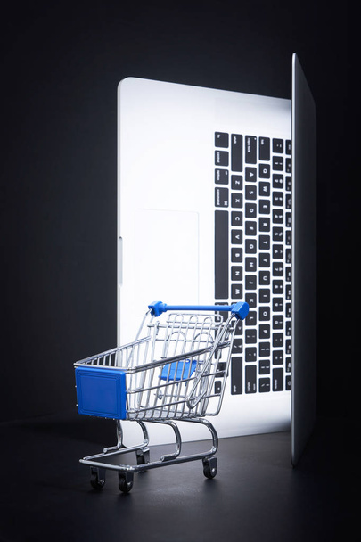 Shopping cart and laptop - Fotoğraf, Görsel
