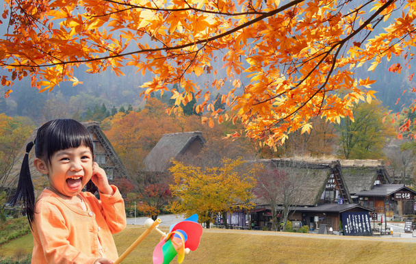 Φθινόπωρο σεζόν από ιστορικά χωριά του Shirakawa-go και Γκοκαγιάμα, J - Φωτογραφία, εικόνα