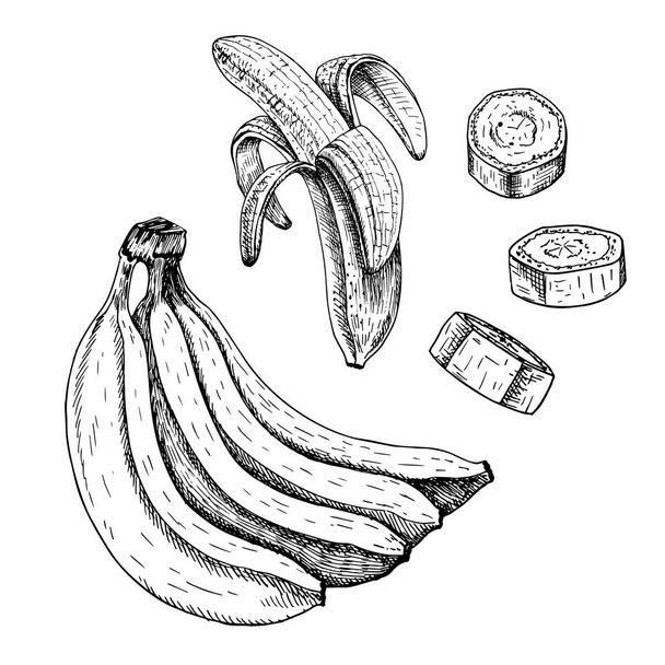 Hand drawn set of banana. Vector sketch - Vettoriali, immagini