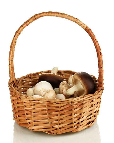 Fresh mushrooms in basket isolated on white - Φωτογραφία, εικόνα