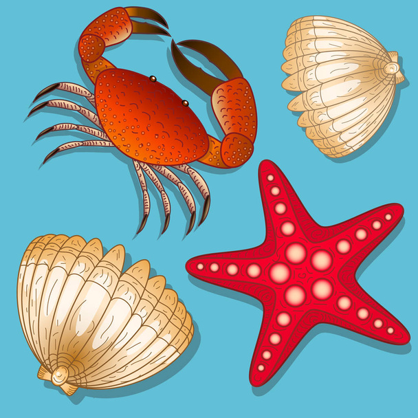 Набор морских обитателей. Краб, морская звезда и раковина. Изолированные объекты
 - Вектор,изображение