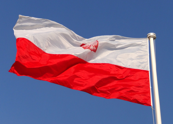polská vlajka - Fotografie, Obrázek