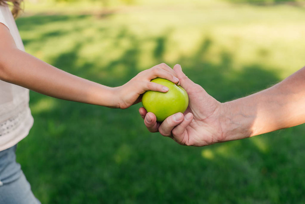 Aile holding elma - Fotoğraf, Görsel