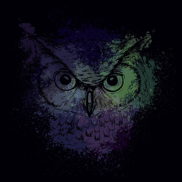 Голова сови вночі на тлі яскравих кольорових плям
, - Вектор, зображення