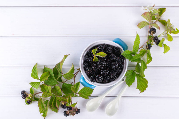 Composition of branch of Blackberry with leaf and  blackberries in a blue ceramic bowl on white. Flat lay. - Foto, immagini