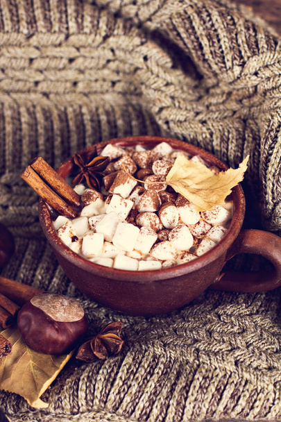 Cacao à la guimauve  - Photo, image
