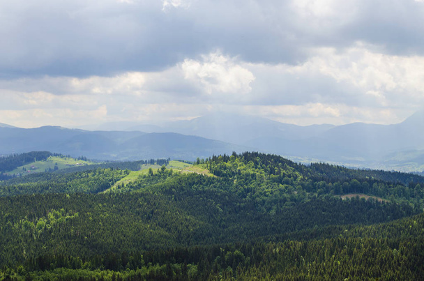 Carpathian mountains in summer - Foto, Bild