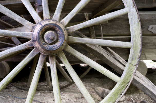 Wagon wheel - Photo, Image