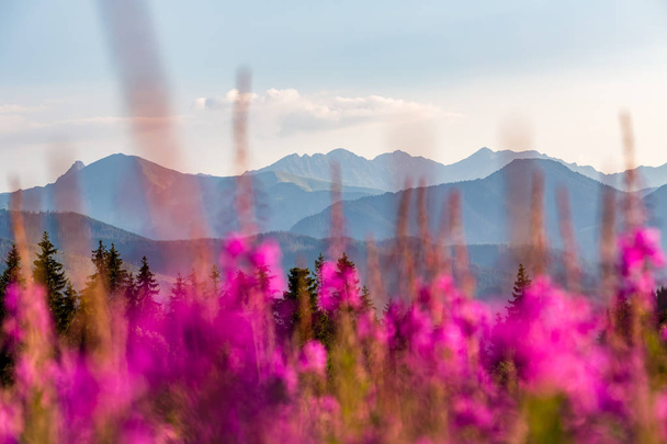 Inspirerende Bergen landschap, mooie zomerdag in Tatra - Foto, afbeelding