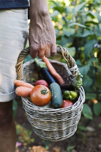 joven con una cesta llena de verduras
 - Foto, Imagen