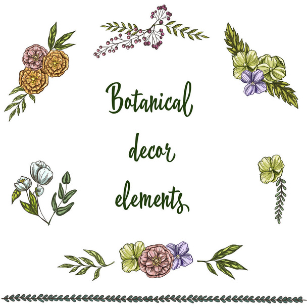 Set of hand drawn Vintage Decor Elements isolated on white background. Decorative flowers and leaves. Vector Illustration - Vector, Image