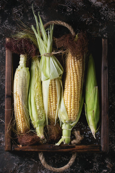 Young raw corn cobs - 写真・画像