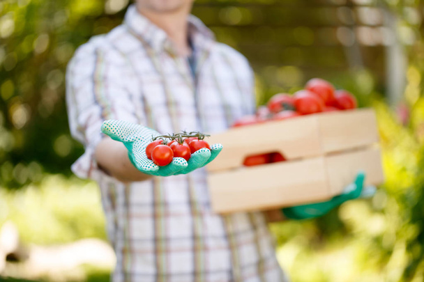 Young man with cherry tomatoes - Foto, Bild