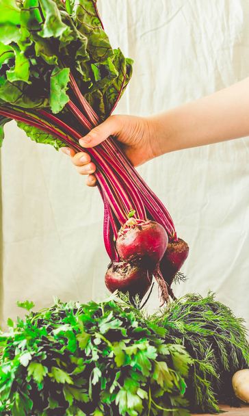 Raw organic beetroot with leaves in a hand. Autumn vegetable.Ton - Photo, Image