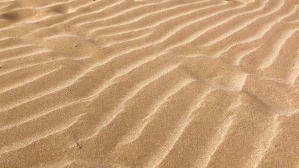 Homokos strand hullám videóinak - Felvétel, videó