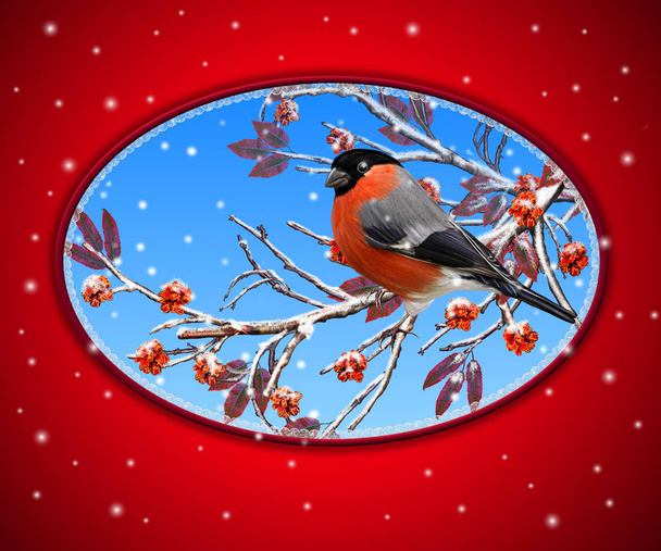 Christmas greeting card. Two bright bird bullfinch bird sitting on a branch, snow, red berries. - Foto, Imagem