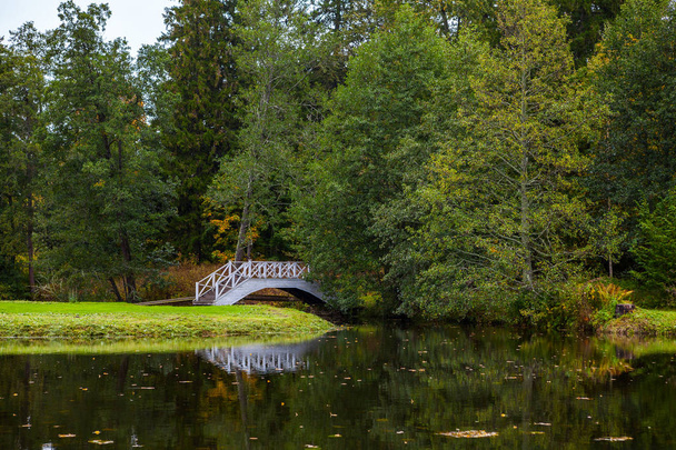 Small pond and decorative white wooden bridge in park - Photo, Image