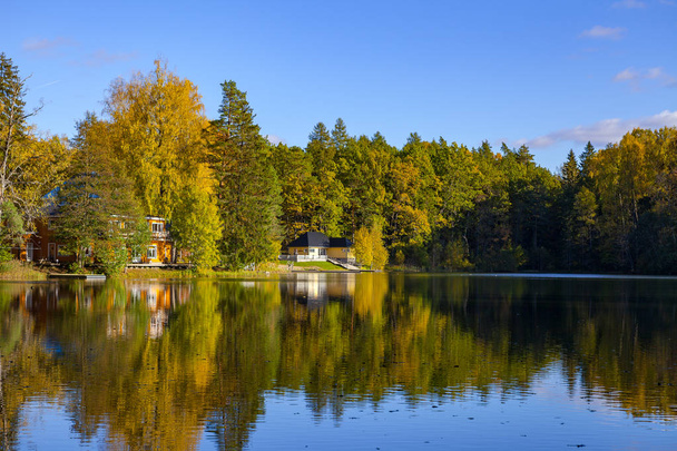 Autumn forest reflection in pond, Aegviidu, Estonia - Photo, Image