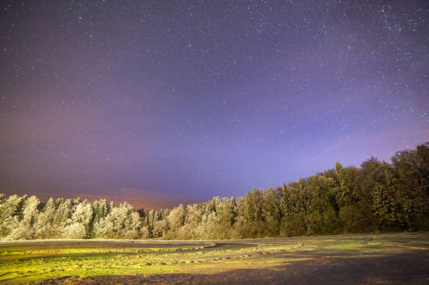 eine klare Nacht mit Sternen. erleuchteter Wald in der Nähe des zugefrorenen Sees in Estland. - Foto, Bild
