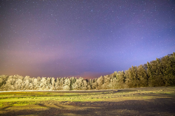 Ясная ночь со звездами. Освещённый лес возле замёрзшего озера в Эстонии
. - Фото, изображение