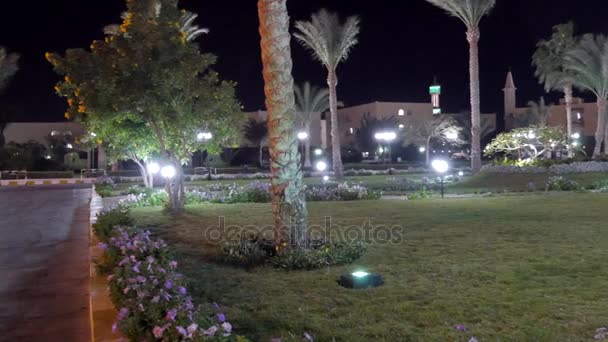 Palm Trees and Flower Bed - Footage, Video