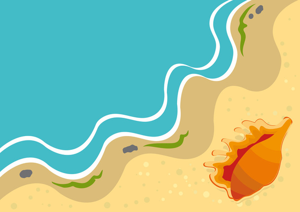 Summer background with shell on a beach - Vector, Image