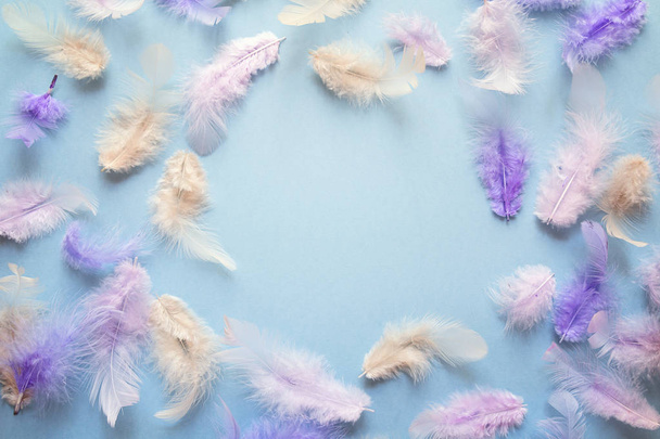 Frame of delicate multicolored feathers on  blue background with - Fotografie, Obrázek