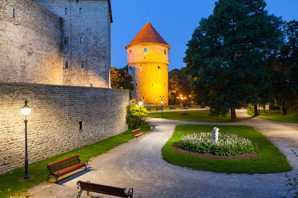 Greem park near Kiek in de Kok, from Low German means Peep into the Kitchen, it is an artillery tower in Tallinn, Estonia, built in 1475. Night view. - Фото, изображение