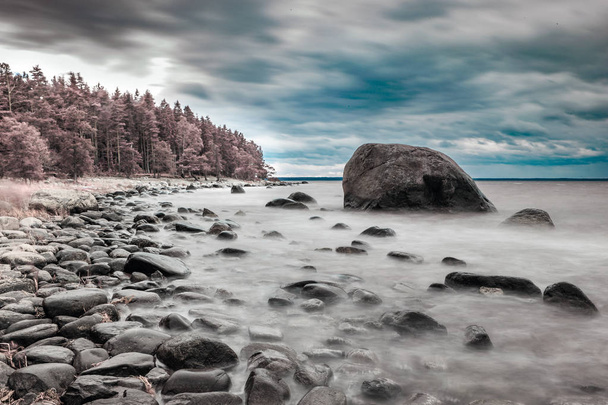 Baltische kust met rotsen. Infrarood kleur verwisseld foto. - Foto, afbeelding