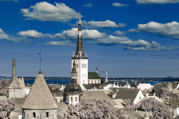 Oude Tallinn stadsgezicht. Infrarood fotografie, kleur verwisseld proces. - Foto, afbeelding