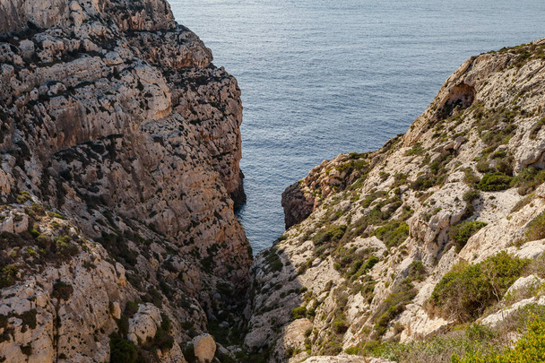 Limestone rocks covered by exotic plants - coast of Malta island. Natural haven in rocks - Fotó, kép