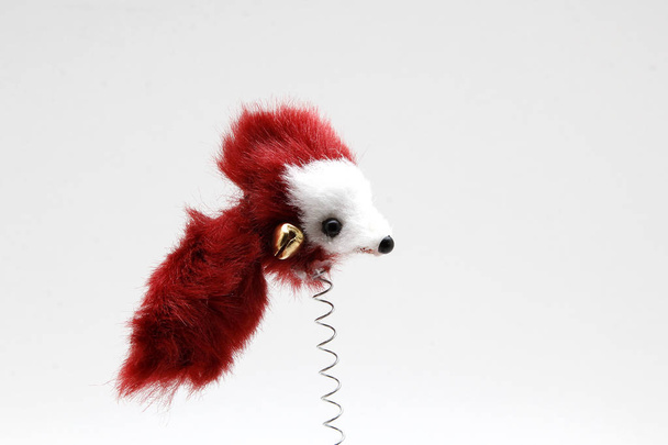 Cat toy with feathers on a white background - Φωτογραφία, εικόνα