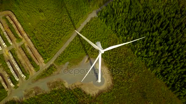 Turbinas eólicas en el bosque desde la altura
.  - Imágenes, Vídeo