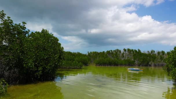 A videó Bantayan Island mangrove Sanctuary. A lagúna, amely a dagály megtelik épül. A videó a dagály látható jön. - Felvétel, videó