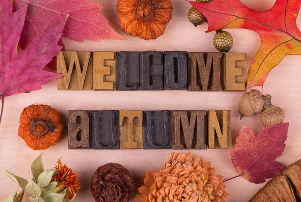Bem-vindo sinal de outono
 - Foto, Imagem