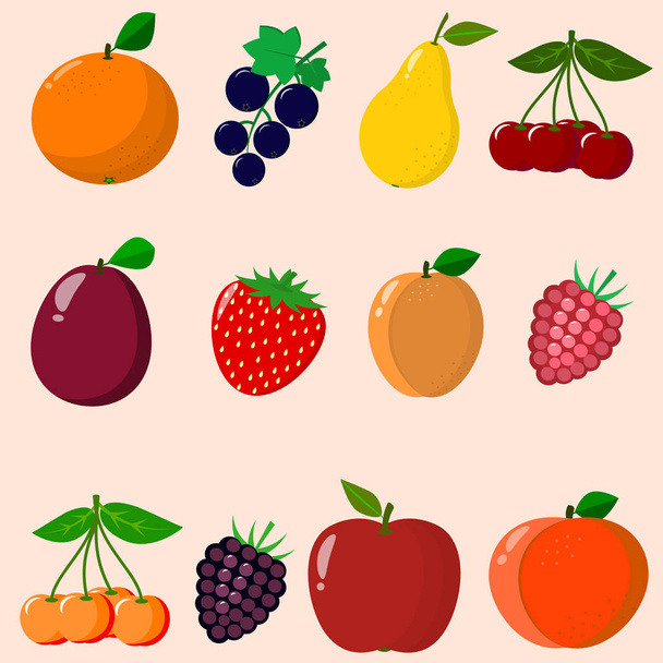 Fruits and berries collected in a set. - Vector, Imagen