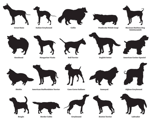 Ensemble de silhouettes pour chiens-2
 - Vecteur, image