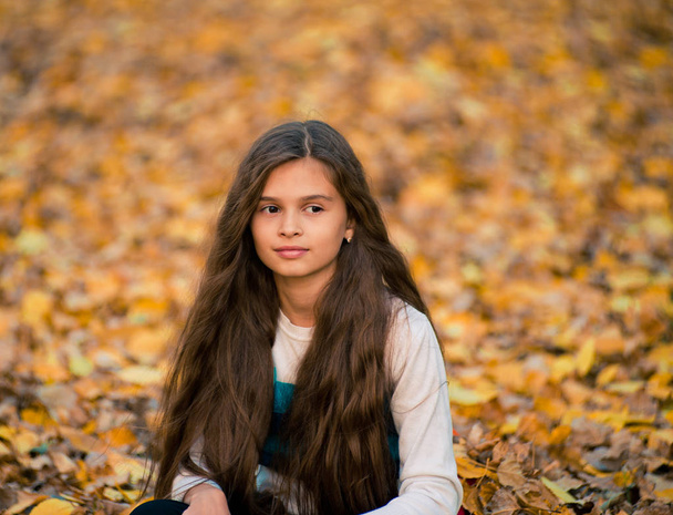 Portrait de jolie fille sur le fond feuilles jaunes - Photo, image