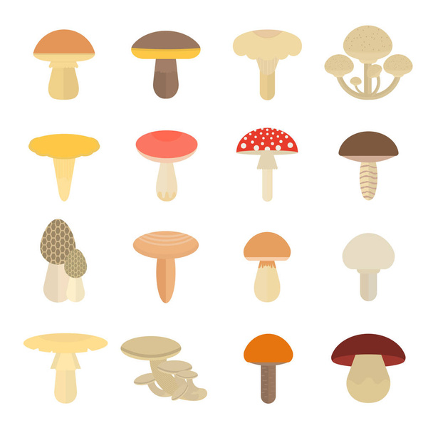Ilustracja wektorowa zestaw grzybów - Wektor, obraz