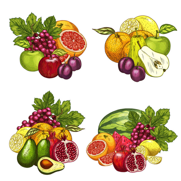 Vector bosquejo iconos de frutas de jardín exóticas manojo
 - Vector, Imagen